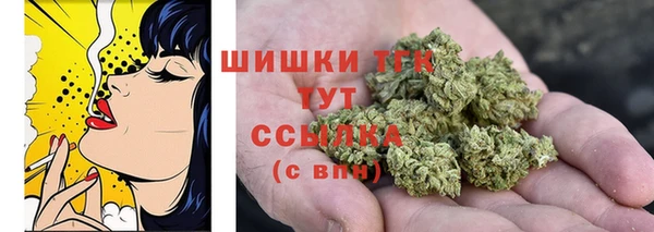 шишки Балахна