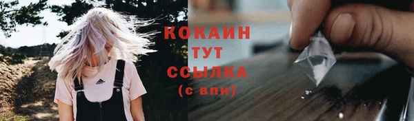 шишки Балахна