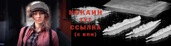 шишки Балахна