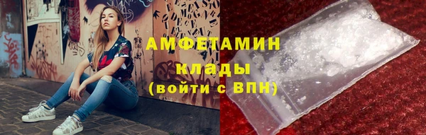 шишки Балахна