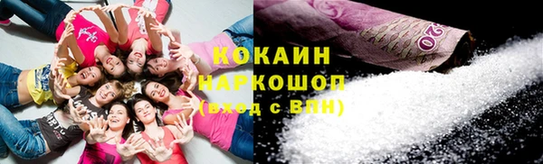 шишки Балахна